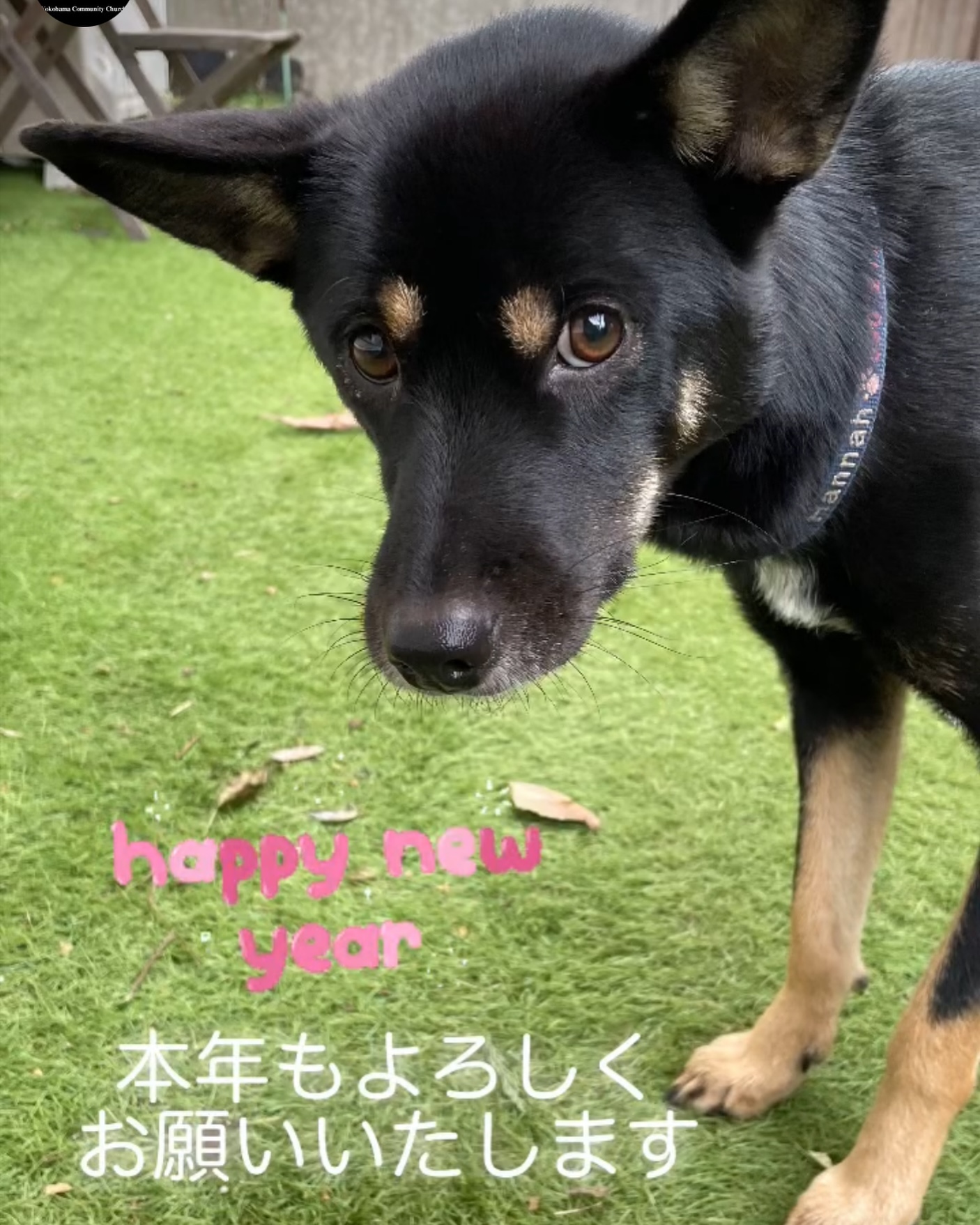 2025 Happy New Year🥰God bless you all🙌✨
あけましておめでとうございます🌅本年もよろしくお願いいたします🙇‍♀️✨